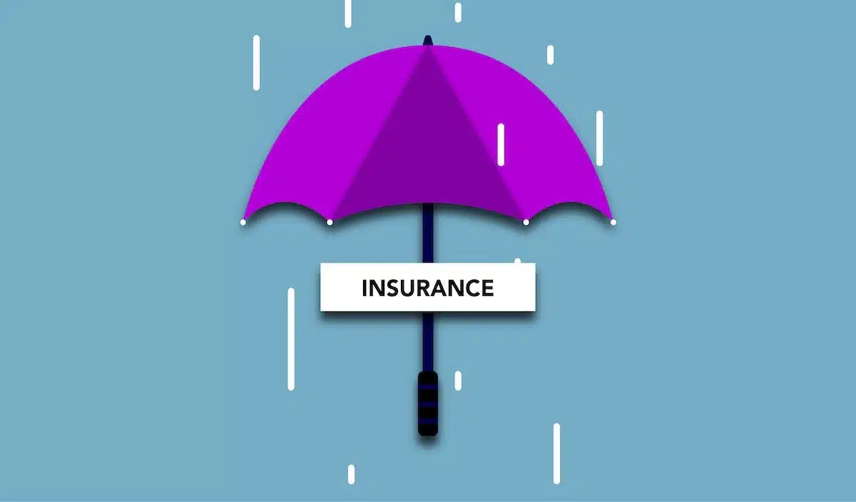 assurance économie